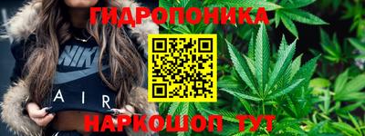mdma Гатчина