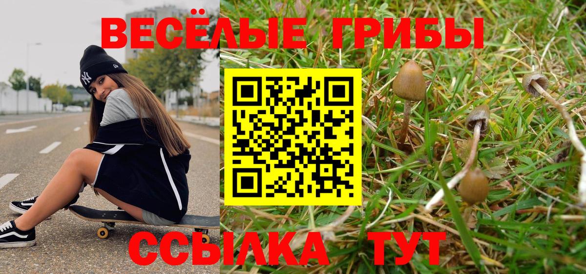 Псилоцибиновые грибы GOLDEN TEACHER  Псилоцибиновые грибы Psilocybe  Вход с VPN  Бугульма 